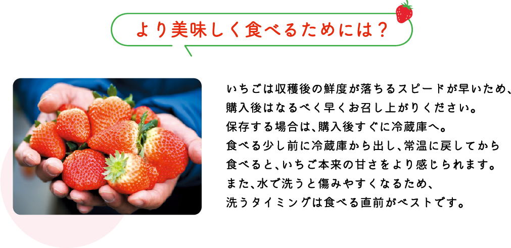 より美味しく食べるためには?